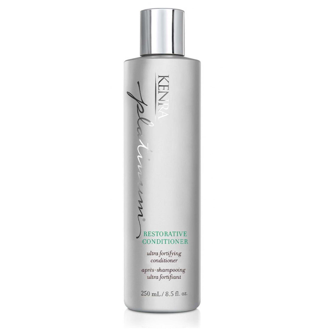 Kenra Platinum Restorative Duo