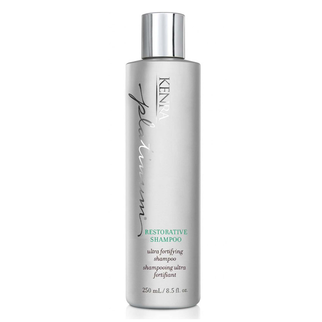 Kenra Platinum Restorative Duo