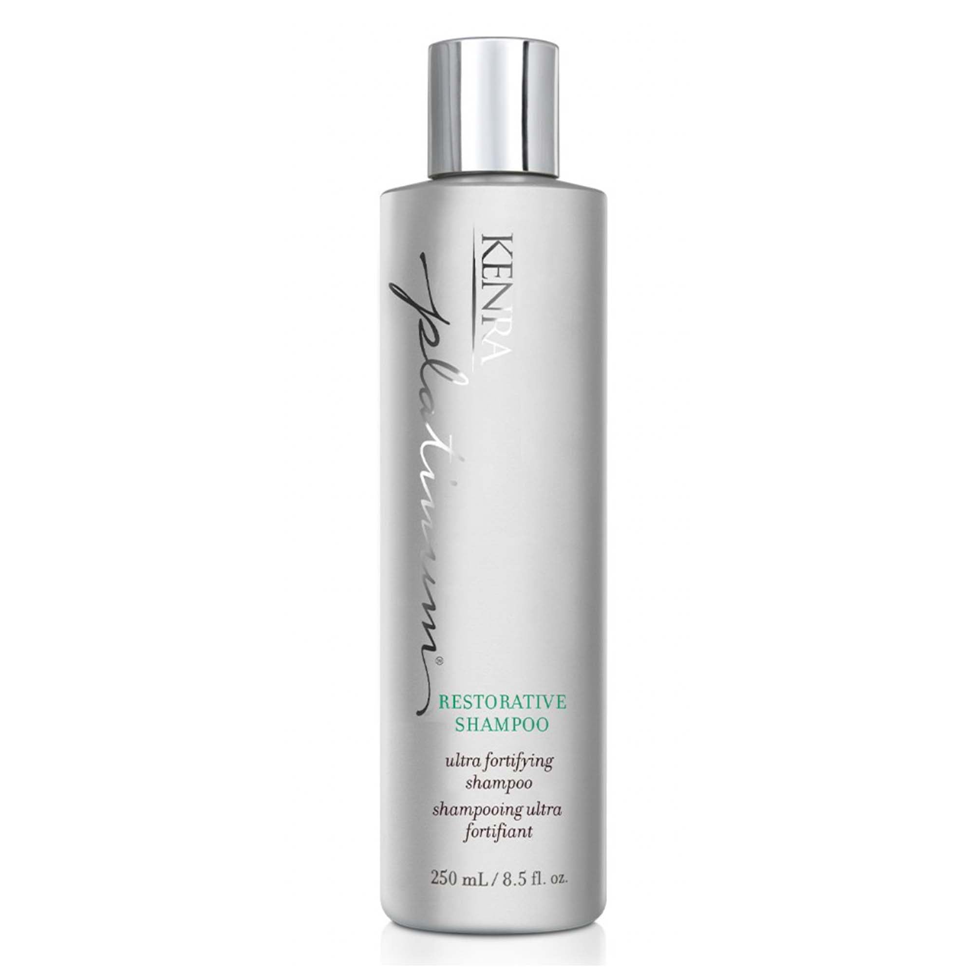 Kenra Platinum Restorative Duo